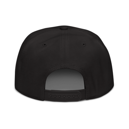 Dub Monkey Team Snapback
